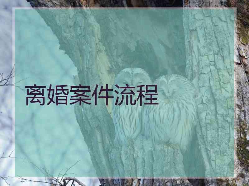 离婚案件流程