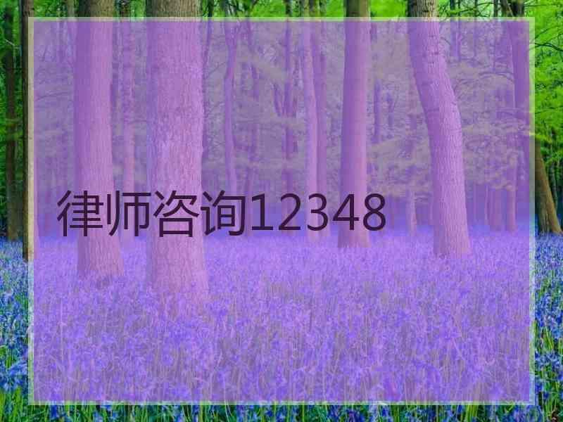 律师咨询12348