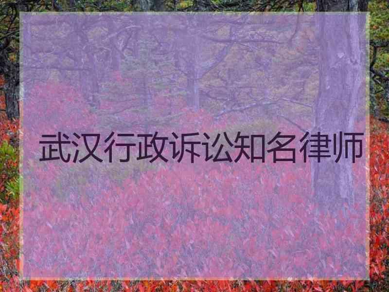 武汉行政诉讼知名律师