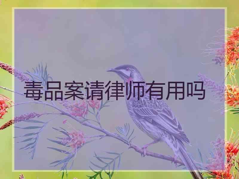 毒品案请律师有用吗