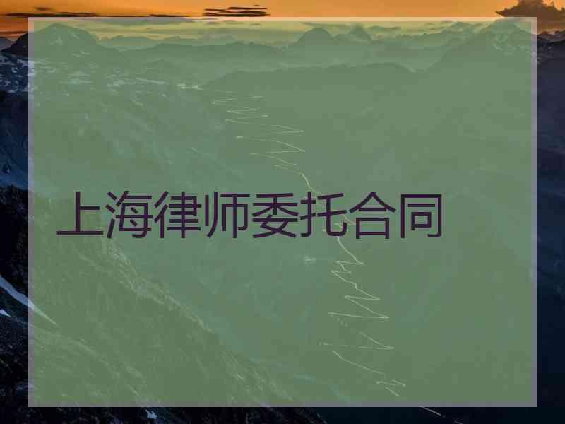 上海律师委托合同