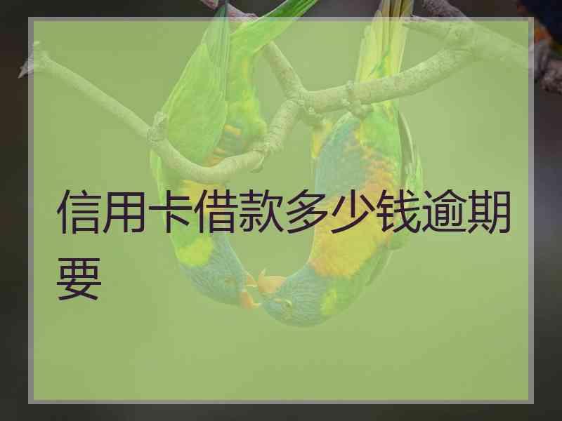 信用卡借款多少钱逾期要