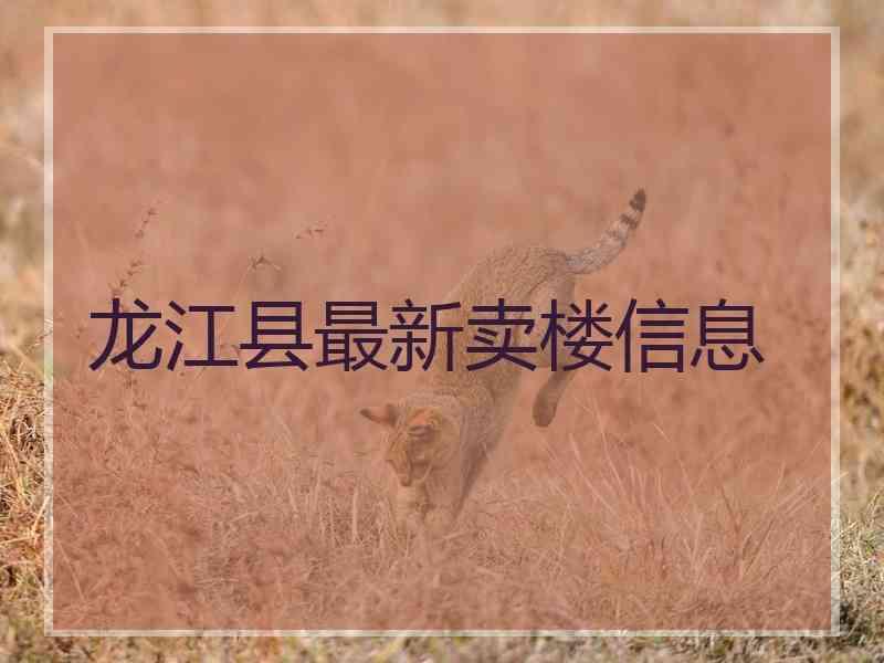 龙江县最新卖楼信息