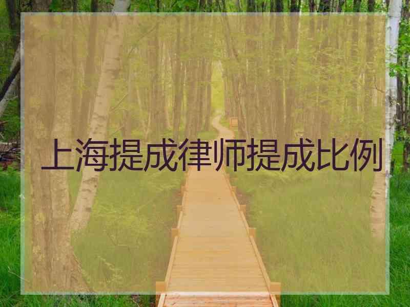 上海提成律师提成比例