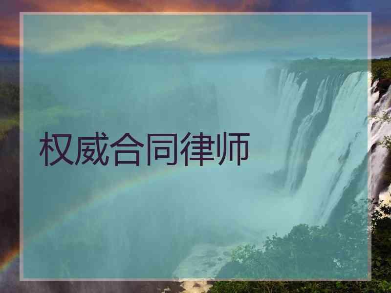 权威合同律师