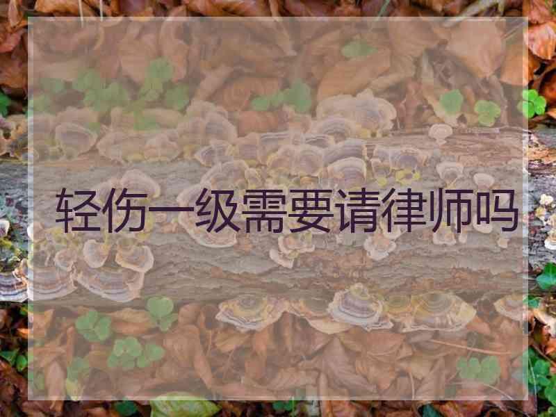 轻伤一级需要请律师吗