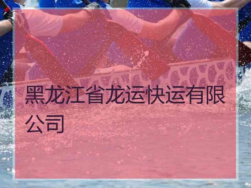 黑龙江省龙运快运有限公司