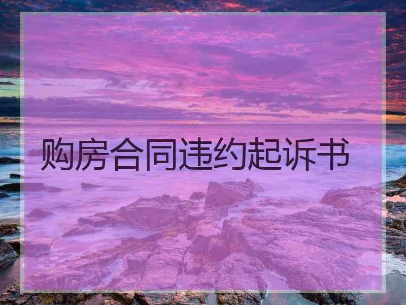 购房合同违约起诉书