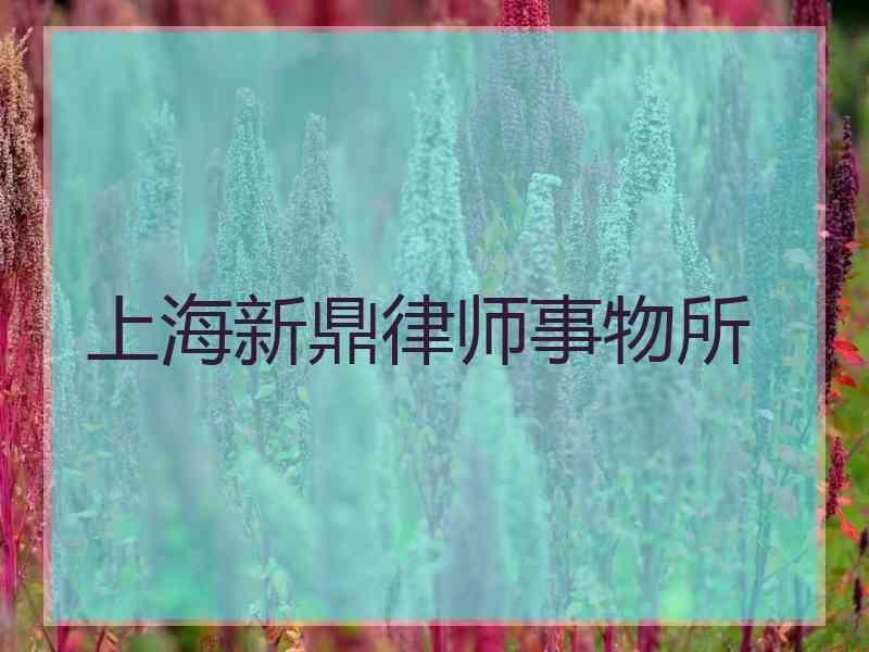 上海新鼎律师事物所