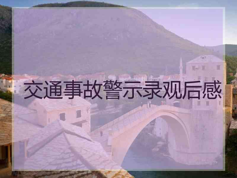 交通事故警示录观后感