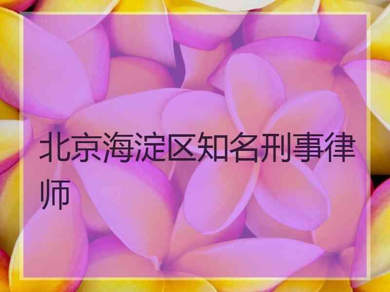 北京海淀区知名刑事律师