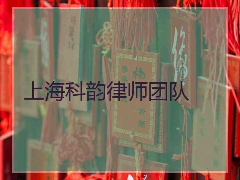 上海科韵律师团队