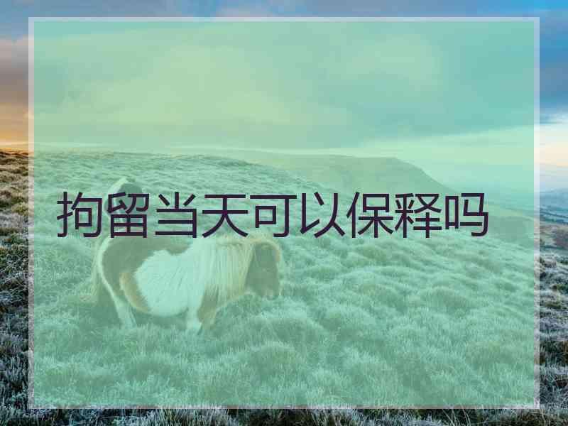 拘留当天可以保释吗