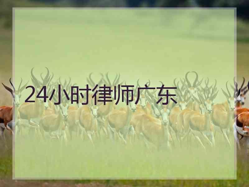 24小时律师广东