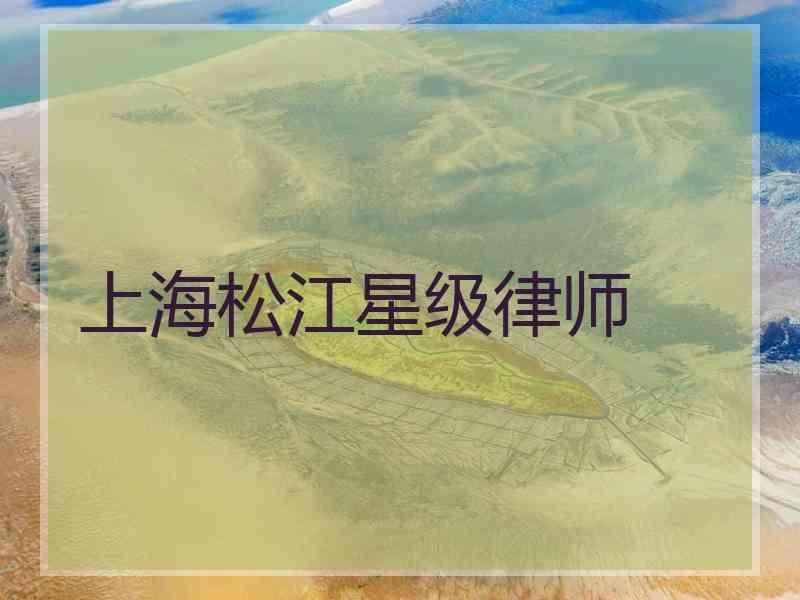 上海松江星级律师