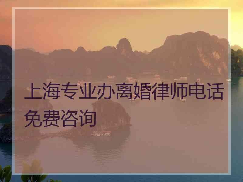 上海专业办离婚律师电话免费咨询