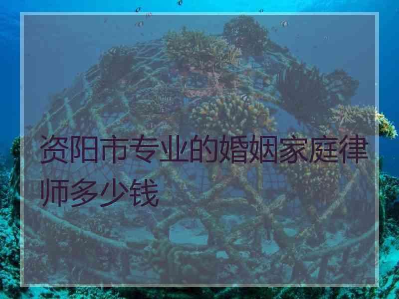 资阳市专业的婚姻家庭律师多少钱