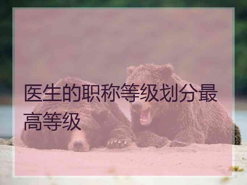 医生的职称等级划分最高等级