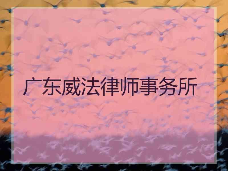 广东威法律师事务所