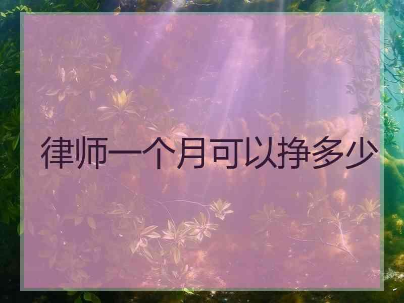 律师一个月可以挣多少