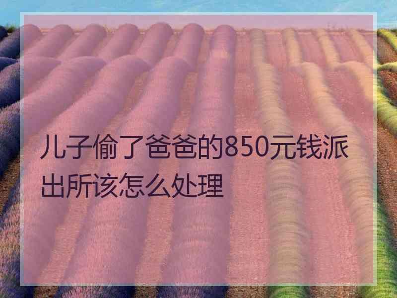 儿子偷了爸爸的850元钱派出所该怎么处理