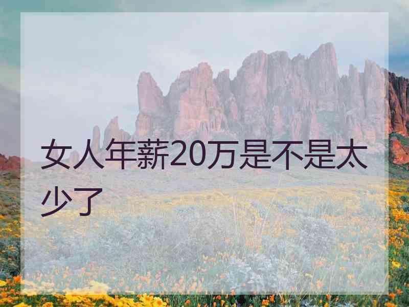 女人年薪20万是不是太少了