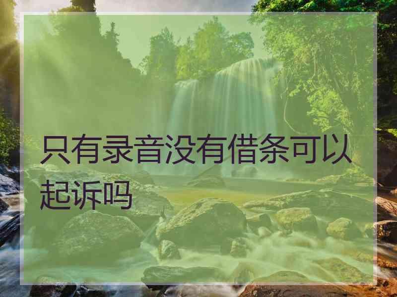 只有录音没有借条可以起诉吗