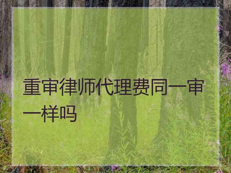 重审律师代理费同一审一样吗