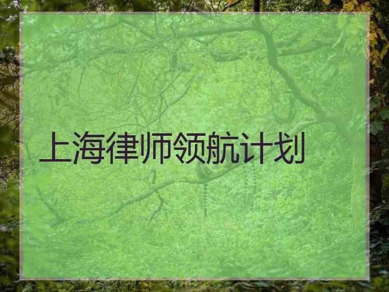 上海律师领航计划