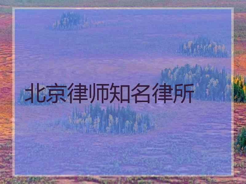 北京律师知名律所