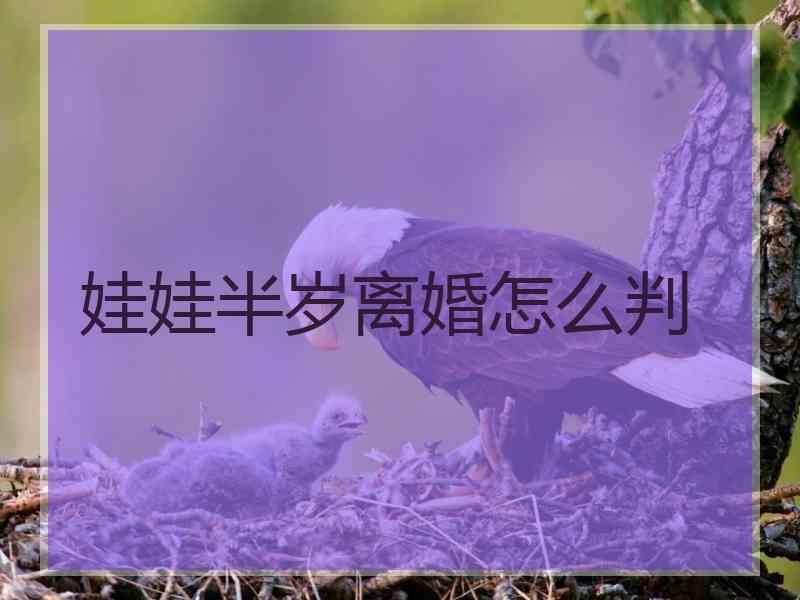 娃娃半岁离婚怎么判