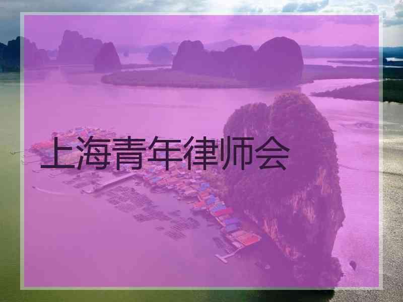 上海青年律师会