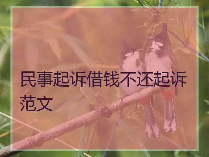 民事起诉借钱不还起诉范文