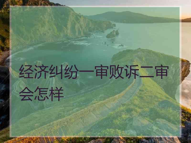 经济纠纷一审败诉二审会怎样