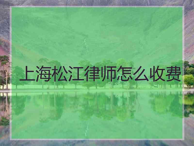 上海松江律师怎么收费