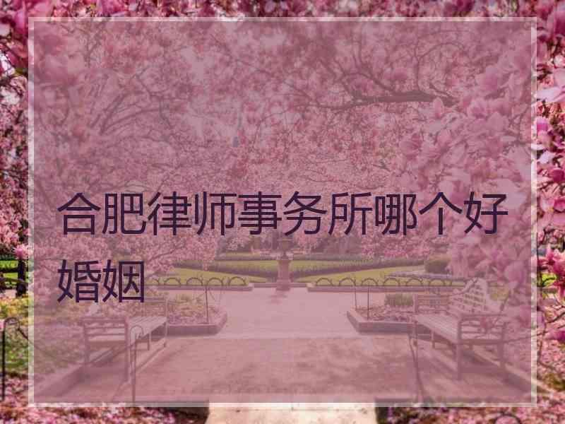 合肥律师事务所哪个好婚姻