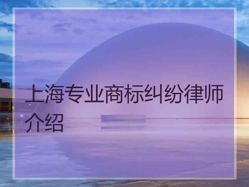 上海专业商标纠纷律师介绍