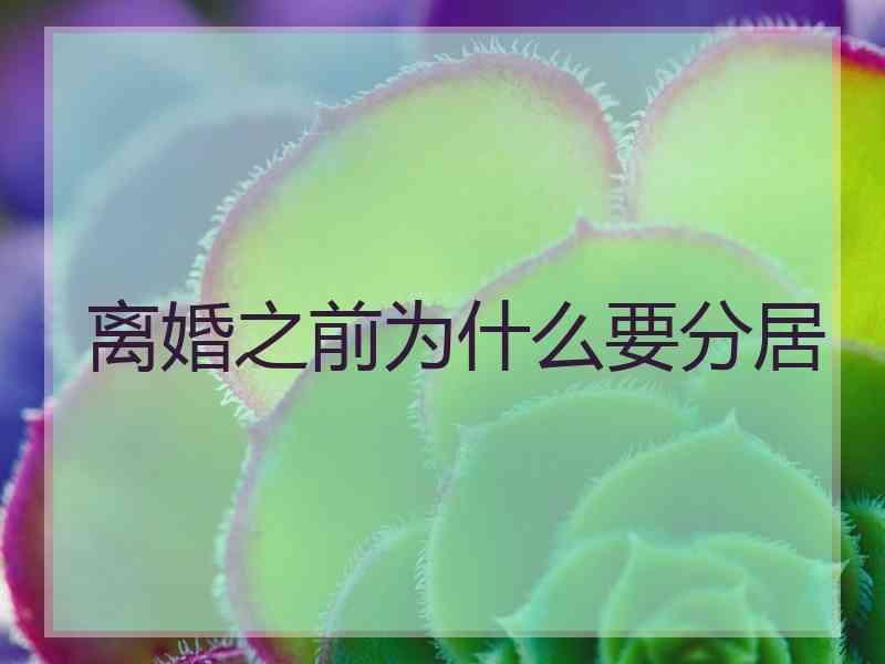 离婚之前为什么要分居