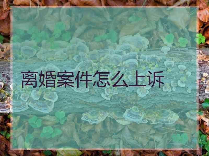 离婚案件怎么上诉