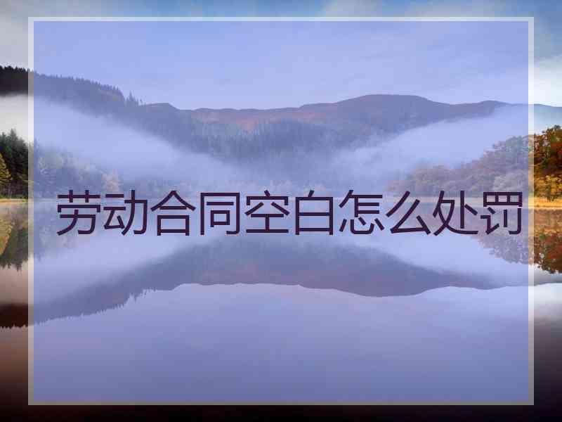 劳动合同空白怎么处罚