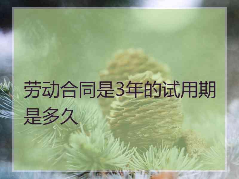 劳动合同是3年的试用期是多久