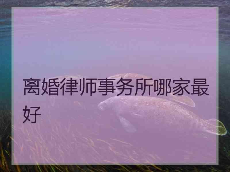 离婚律师事务所哪家最好