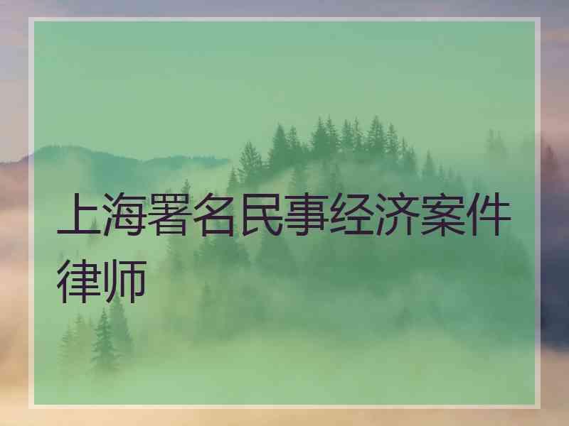 上海署名民事经济案件律师