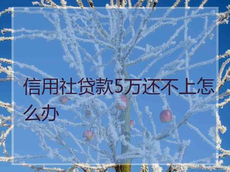 信用社贷款5万还不上怎么办