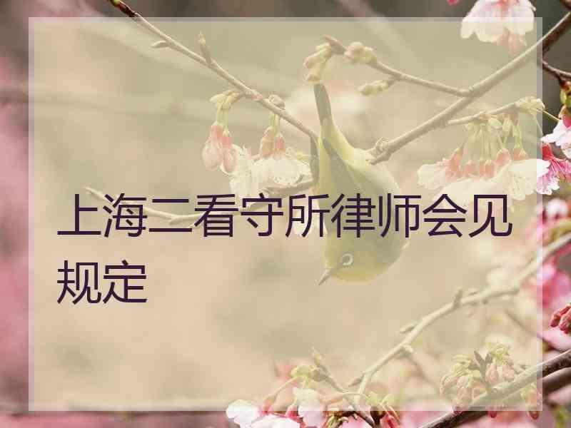 上海二看守所律师会见规定