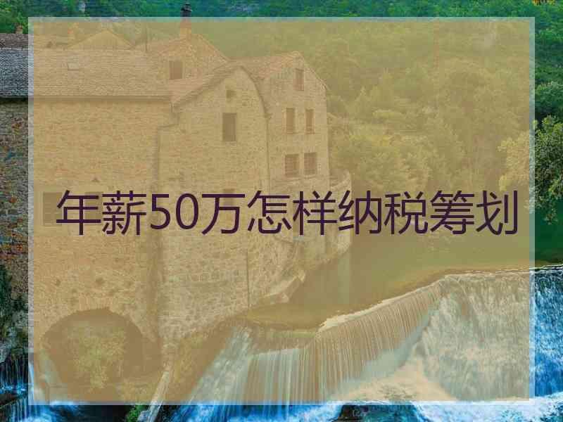 年薪50万怎样纳税筹划