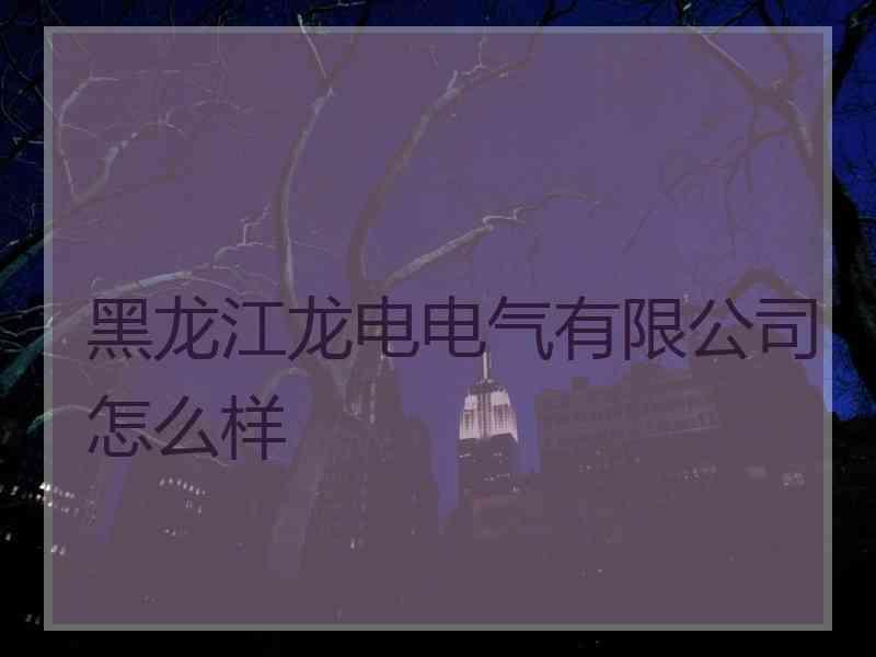 黑龙江龙电电气有限公司怎么样