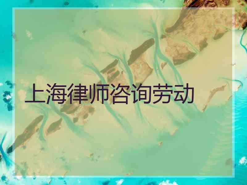 上海律师咨询劳动