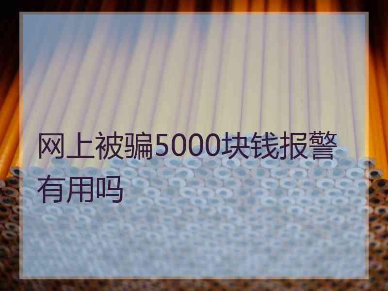 网上被骗5000块钱报警有用吗