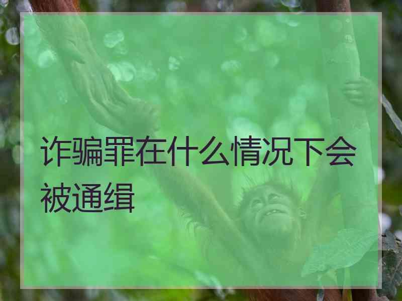 诈骗罪在什么情况下会被通缉